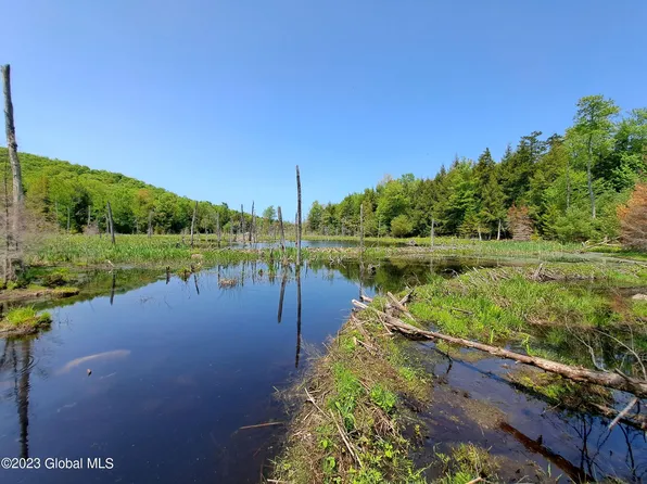 L60 Apple Creek Lane, Hadley, NY 12835