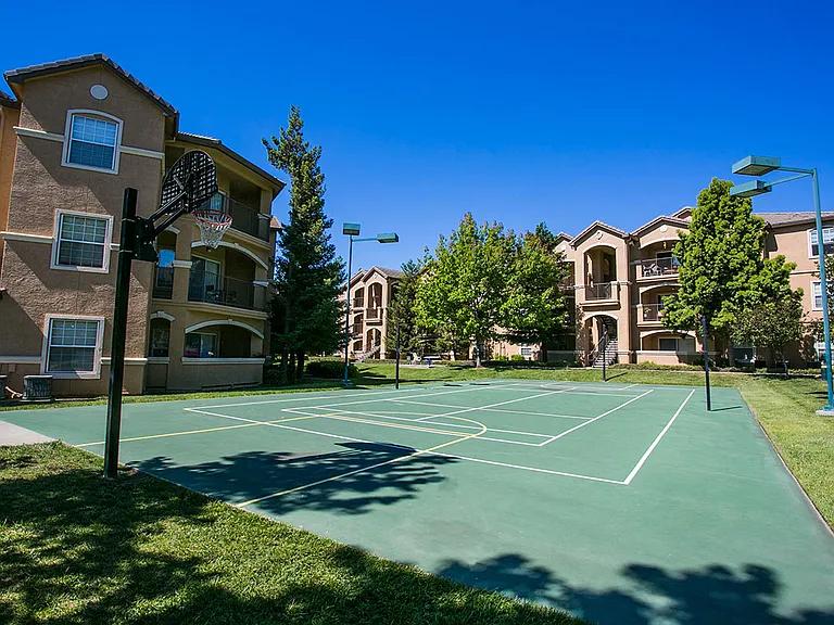Basketball Court