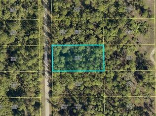 2106 Louis Ave, Alva, FL 33920