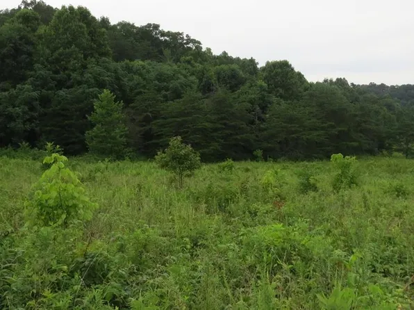 1 Tackett Hill Cemetery Rd, Hulen, KY 40845