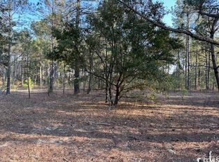 3 McNabb Shortcut Rd, Loris, SC 29569