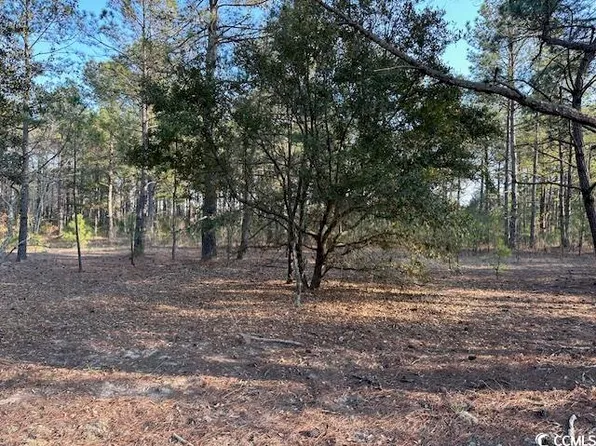 TBD Lot 3 McNabb Shortcut Rd., Loris, SC 29569