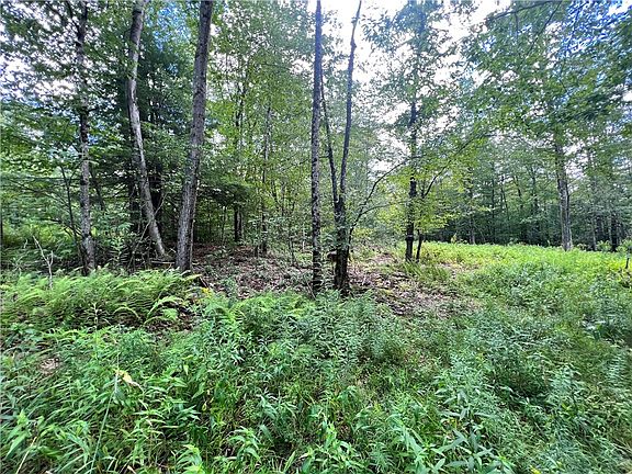 0 Columbia Lake Rd, Deposit, NY 13754 | MLS #R1491489 | Zillow