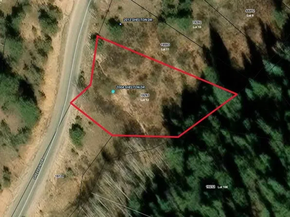 2004 Shelton Drive, Bailey, CO 80421