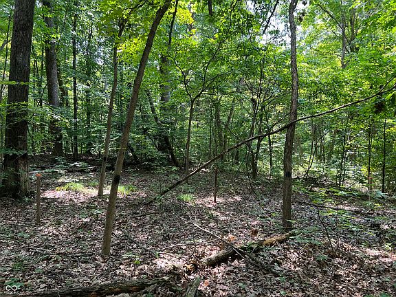 4th image of 3501 S Swartz Ridge Rd