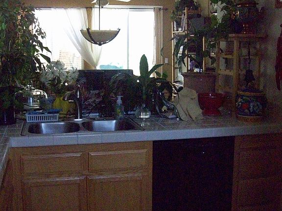 New Stainless Steel Sink