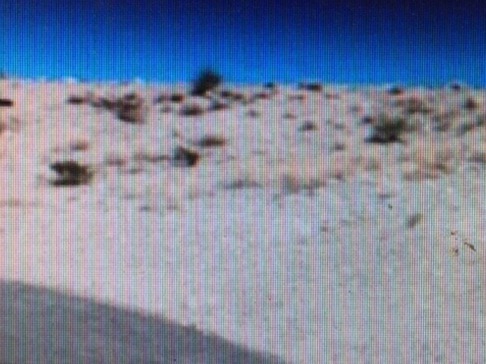 2nd image of 2795 Arabian Ln Lot 16