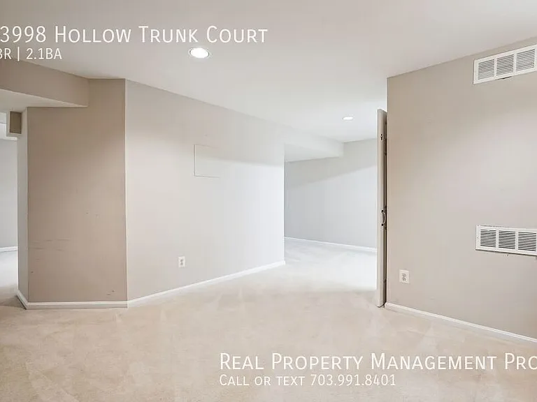 13998 Hollow Trunk Ct — Photo 27