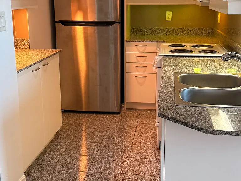 88 Palace Pier Ct #Penthouse 208 — Photo 6