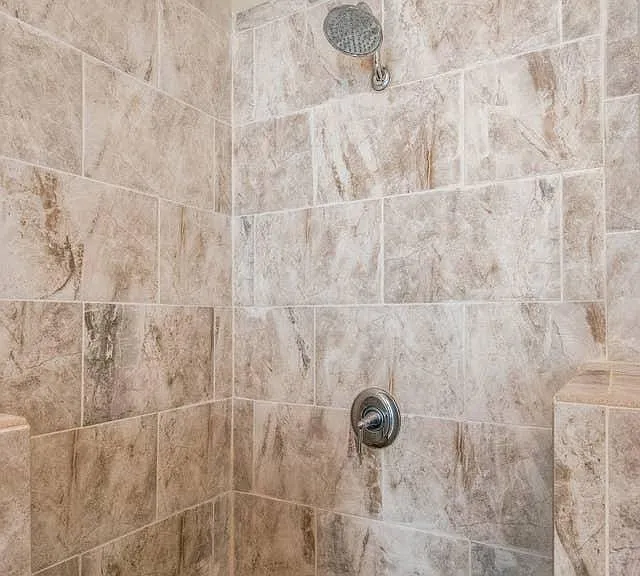 Master bath shower