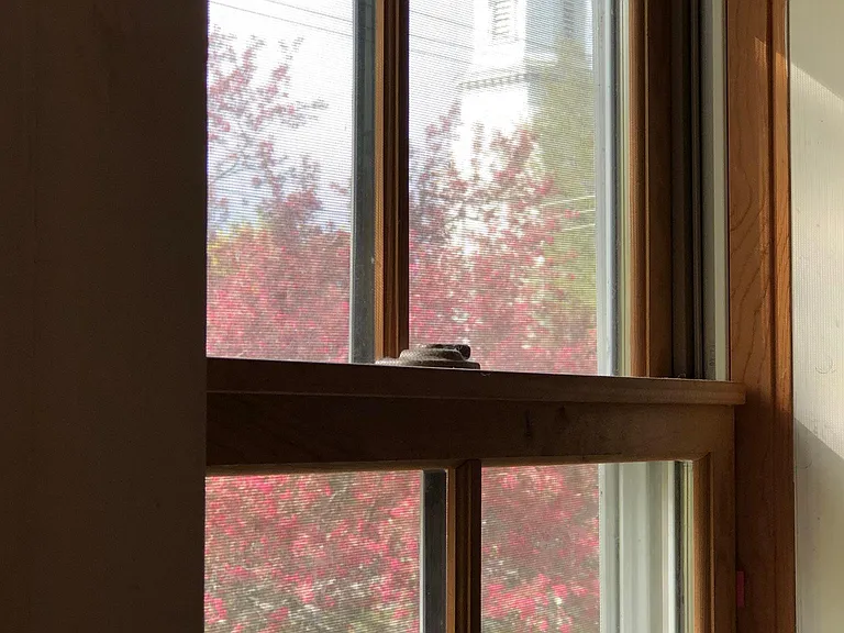 Springtime view out one of the windows.