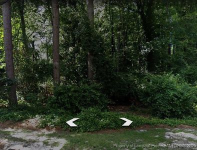 6 Hillside Dr, Jackson Springs, NC, 27281