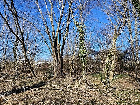 5th image of 1 / Acre Alabama Hwy #227