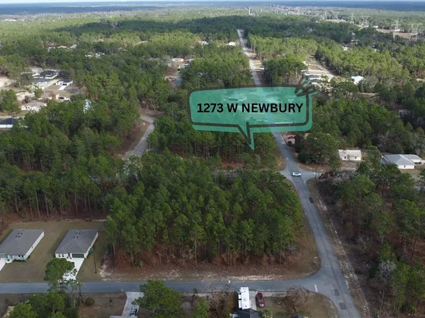 1273 W Newbury St, Citrus Springs, FL 34434