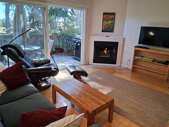 Living room with fireplace