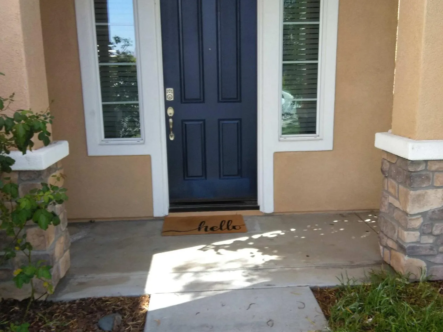 29783 Andromeda St — Photo 3