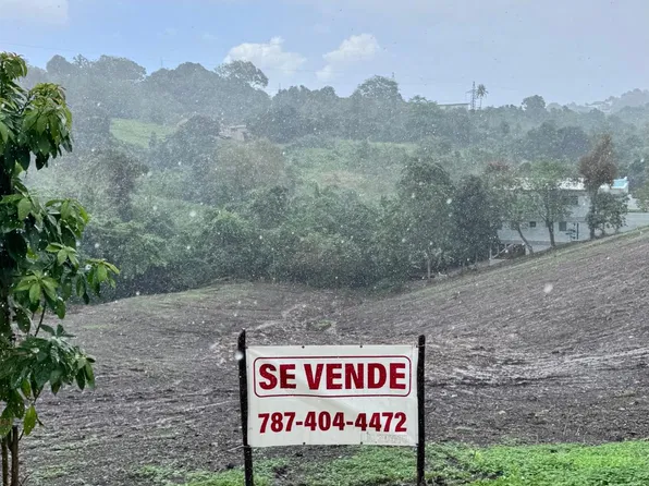 859 Barrio, Carolina, PR 00987