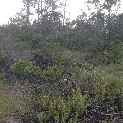 2nd image of Lehua Ln Lot 11