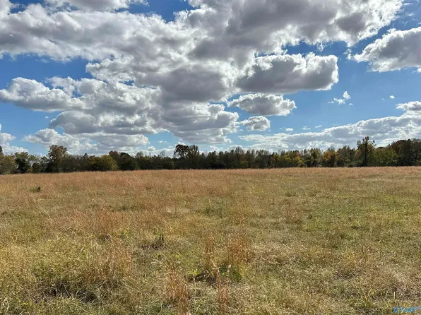 5 Witty Mill Rd, Elkmont, AL 35620