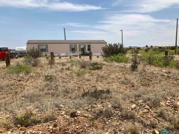 247 W Campground Ln, Fort Sumner, NM 88119