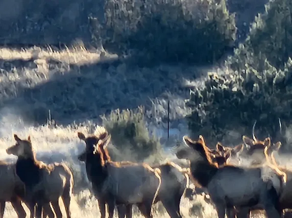 194 Westwood Rnch, Ash Fork, AZ 86320