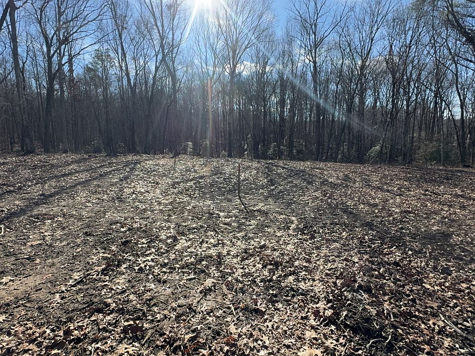 2nd image of 637 Flat Branch Rd Lot 1