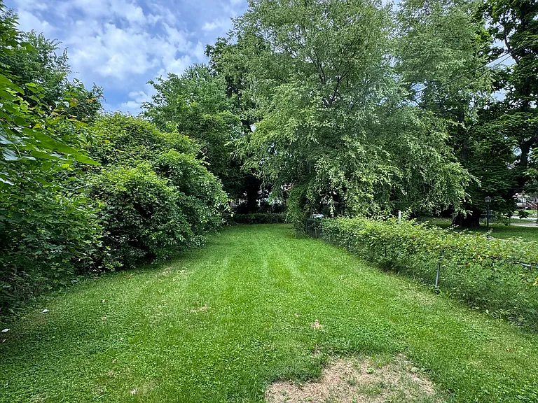 BIG BACKYARD fenced in