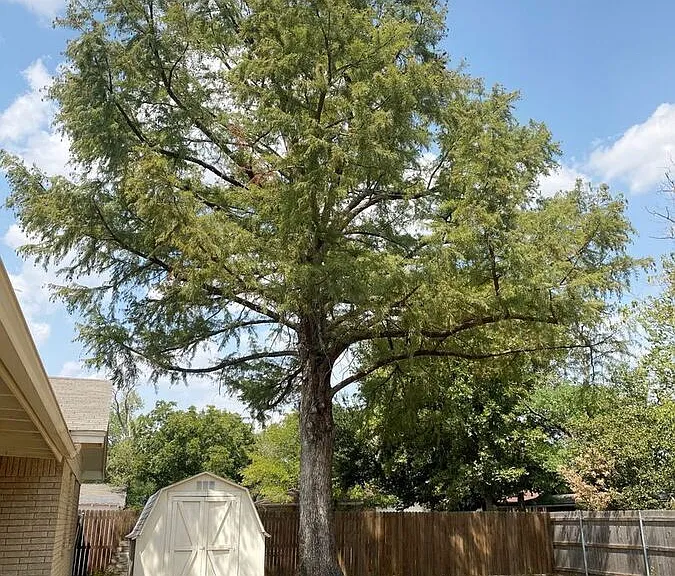 5520 Galway Ln — Photo 21