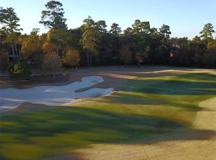 30 Damask Rose Way, Spring, TX 77382