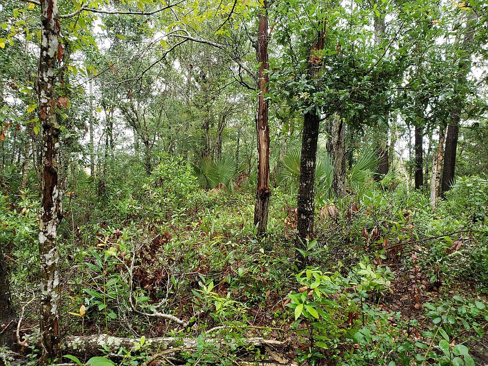 2nd image of 76 Cape Creek Rd