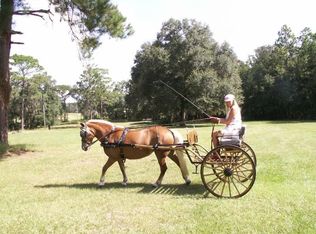 9800 NW 30th Ave, Ocala, FL 34475