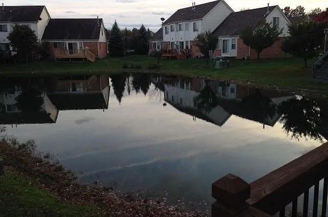 Pond View 2