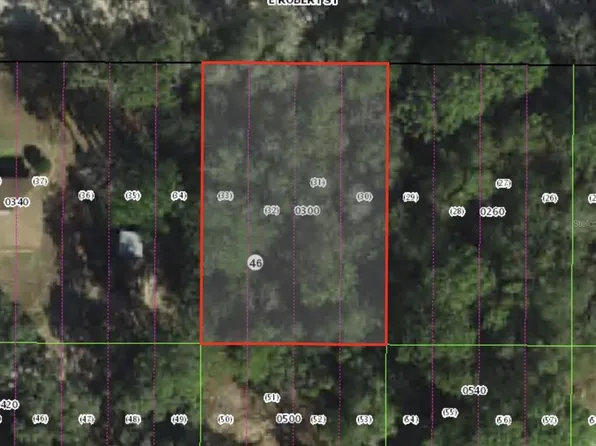 3046 E Robert St Lot 30-31, Inverness, FL 34453
