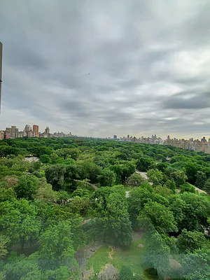 Rented by Compass | media 6