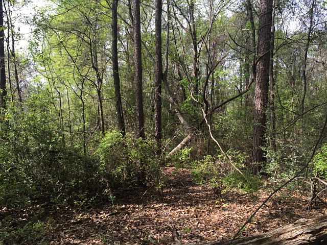2nd image of 5088 Saint Marys Rd