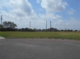 3341 Tulipan Ave, Edinburg, TX 78542