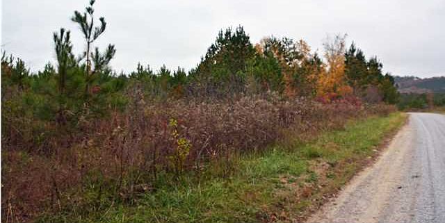 2nd image of 3 Horns Creek Rd
