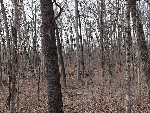 4th image of Great Woods Rd