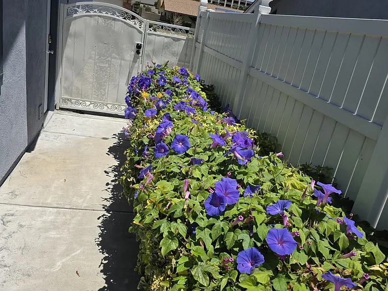 3154 Valaria Dr — Photo 74