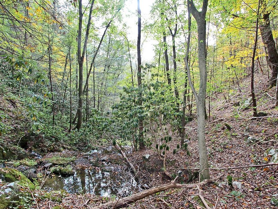 1st image of 73 Five Acres Dogwood Stand