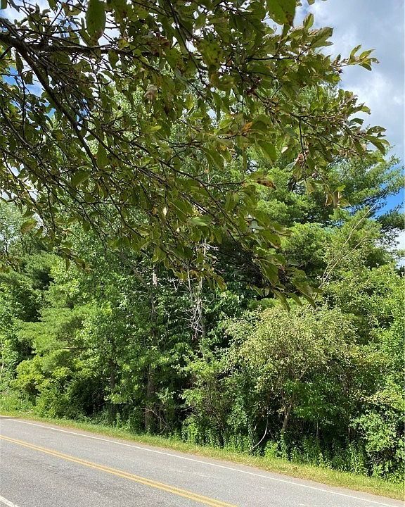 0 Miller Ave, Chaffee, NY 14030 Zillow