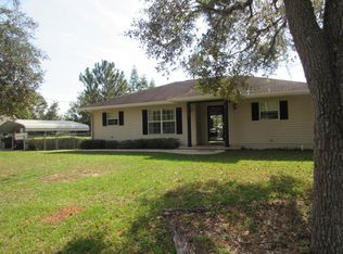206 Fisher Run, Ocklawaha, FL 32179