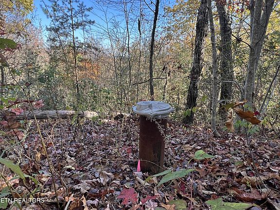 5th image of 79 Long Rifle Rd Lot 79W