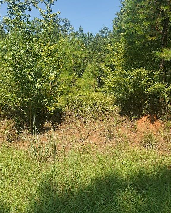 2nd image of 3578 County Road 44