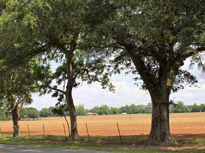 76.7 Acres Hwy #613, Lucedale, MS, 39452