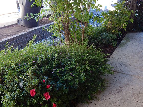 3rd image of 404 Cirby Oaks Ct