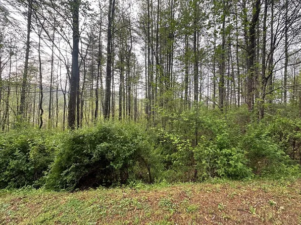 31 Cove At Flt, Cullowhee, NC 28723