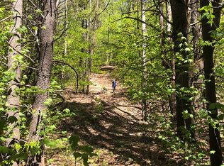 13 Old County Rd, Athens, VT 05143