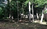 1st image of Mary Avenue Fernandina Beach Amelia Is