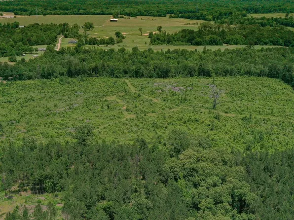 County Road 1225, Daingerfield, TX 75638